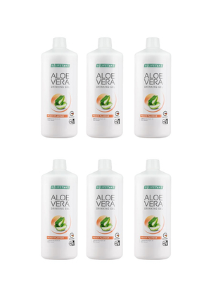 Aloe Vera Drinking Gel Mit Honig – 6er Pack, Je 1000 Ml, 90% Aloe, Zertifiziert